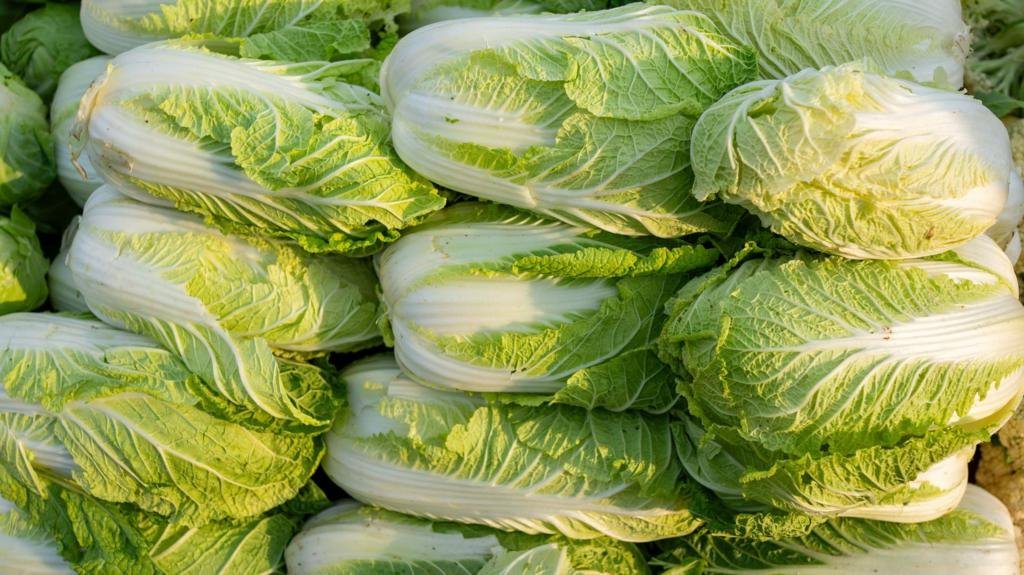 China Probes Formaldehyde-Tainted Cabbages as Food Safety Crackdown Intensifies