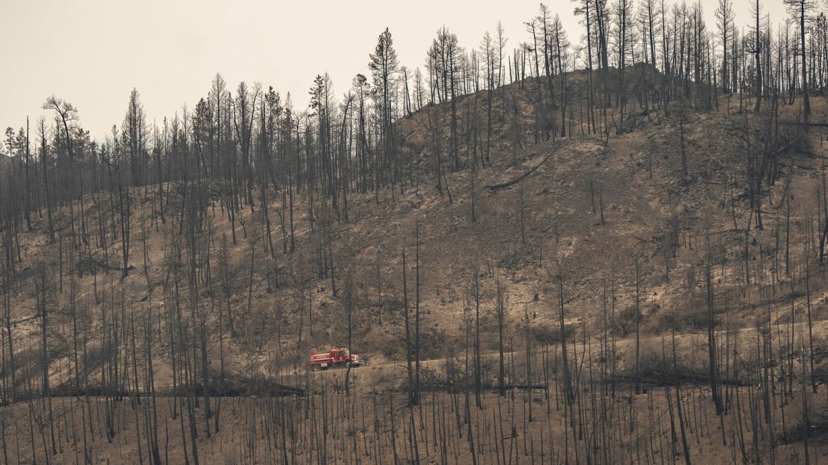 Fire crews responding to the Bald Range wildfire near Summerland, B.C.