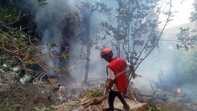 Fatal Kenya Helicopter Crash Kills Five Americans and Ecuador's Intelligence Chief