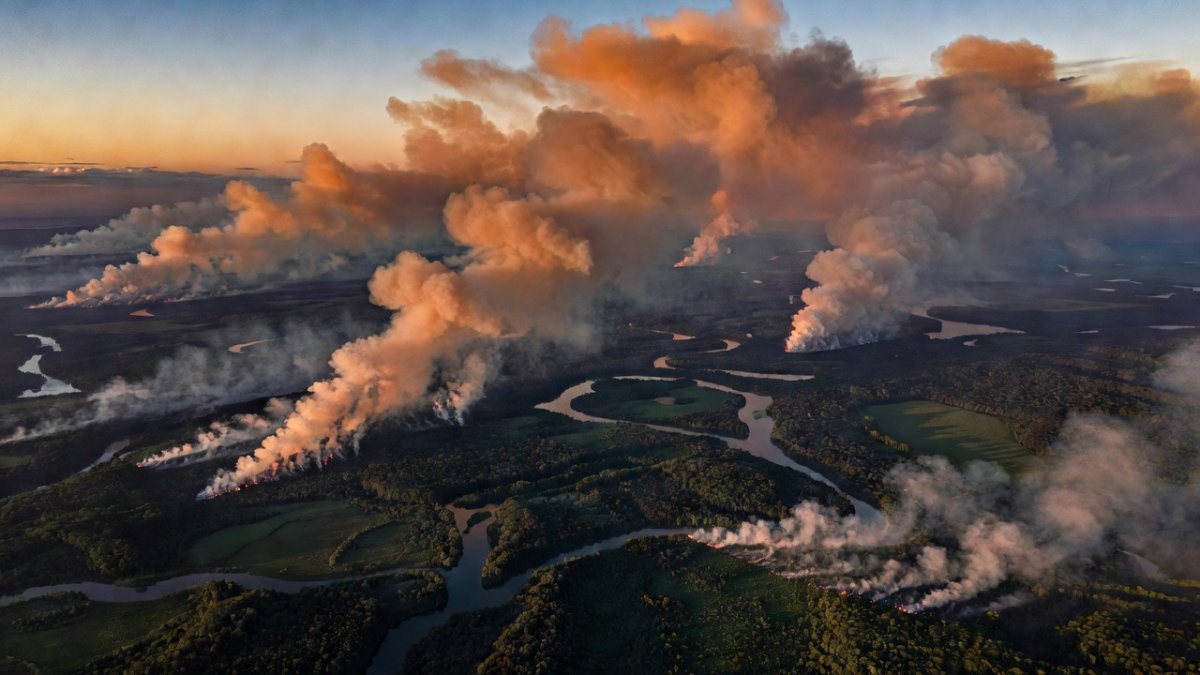Satellite view of wildfire smoke plumes over the Amazon rainforest