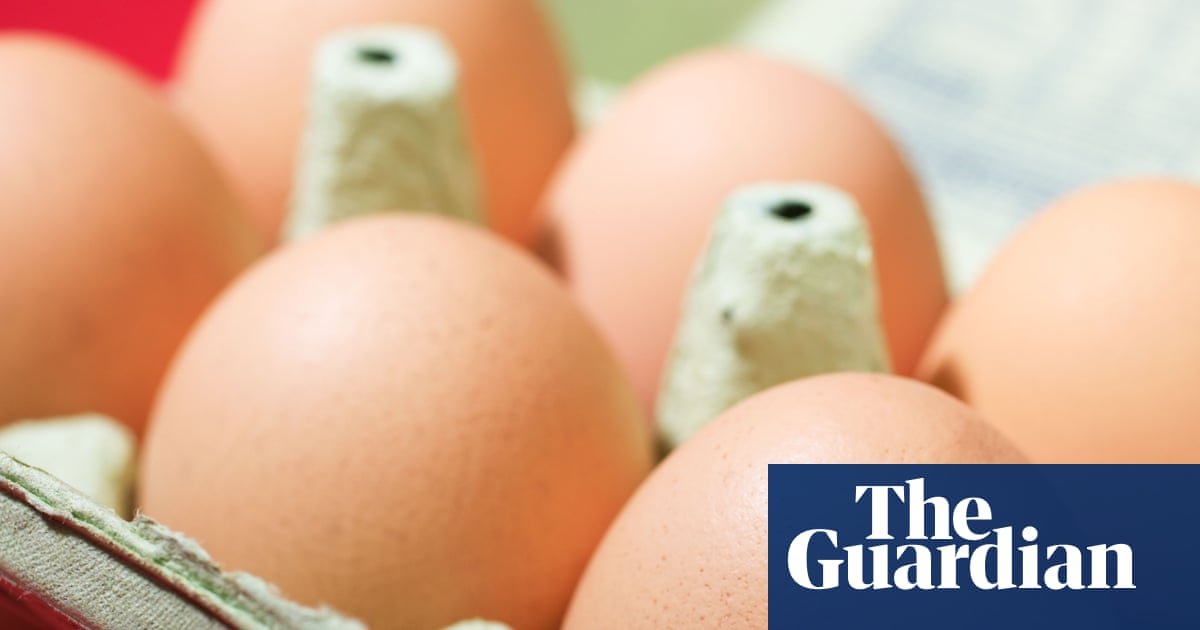 Imported egg crates being inspected at a UK food distribution warehouse