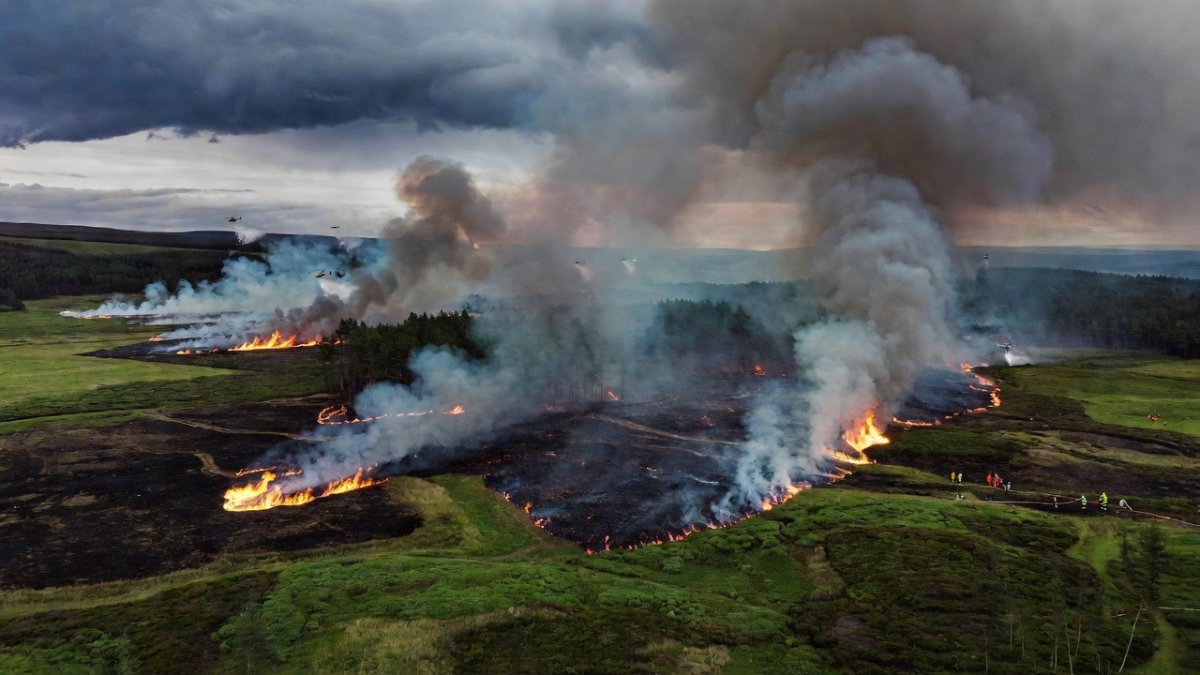 Belgium's Silent Heatwave Deaths Are a Warning Latin America Can't Ignore