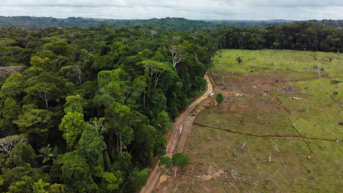 Plant Based Treaty: Latin America's Food Climate Fight