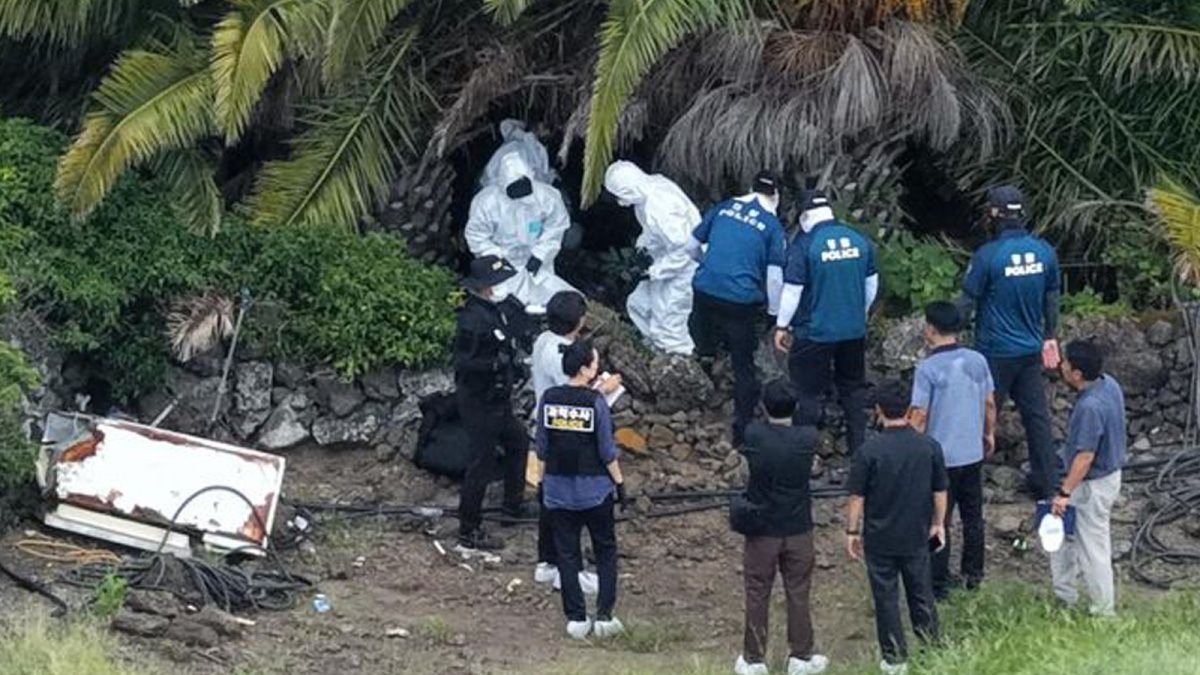 Forensic examination at a palm tree grove in Jeju where a missing woman's body was found