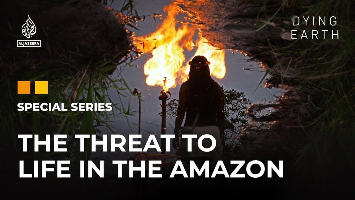 The Final Breath: Record Deforestation Wins Mask the Amazon's Deepening Threats