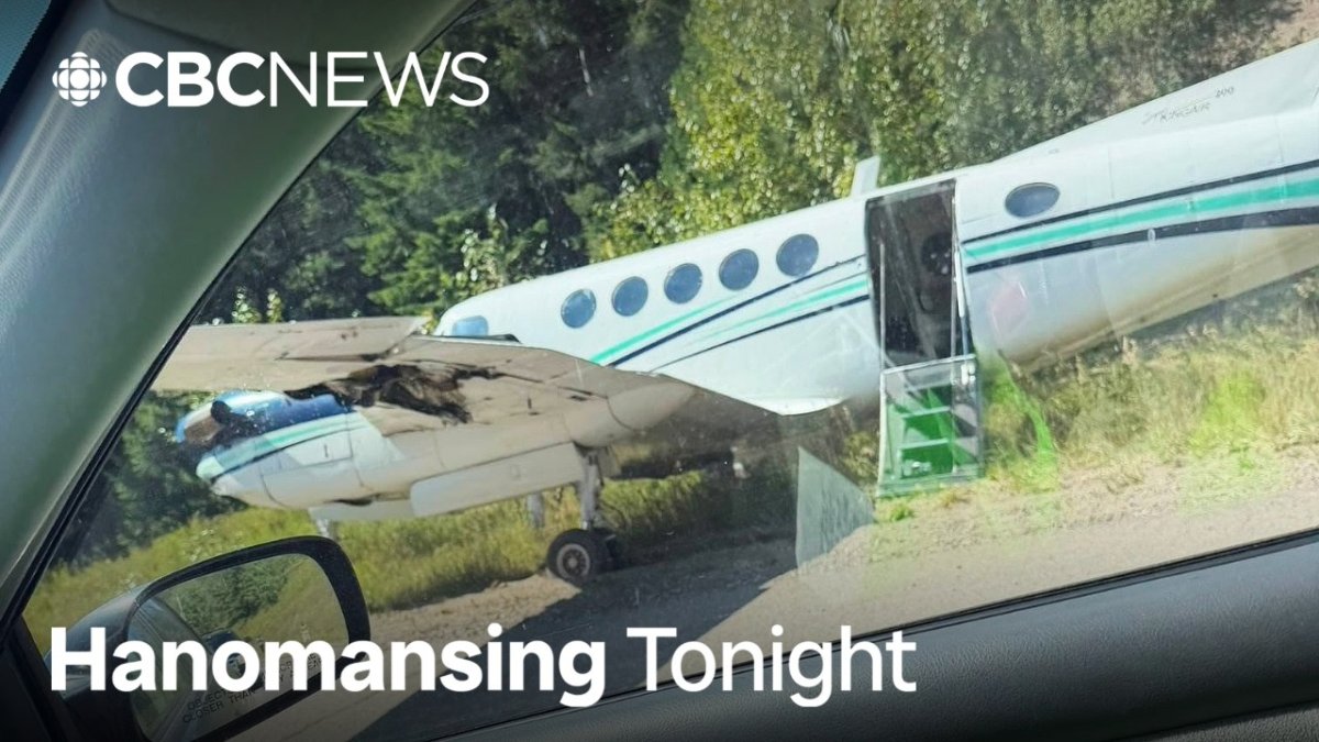 1 Dead After Plane Makes Emergency Landing on Busy B.C. Road