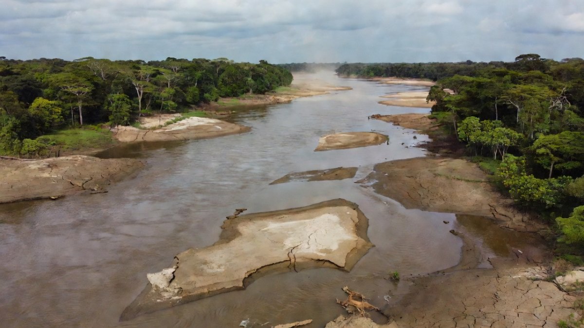 Amazon Rivers Drop Fast as El Niño Worsens