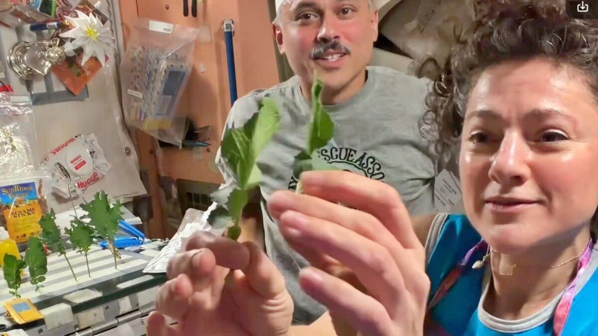 Indian-Origin Astronaut Anil Menon Harvests Space-Grown Vegetables, Cooks Meal On ISS