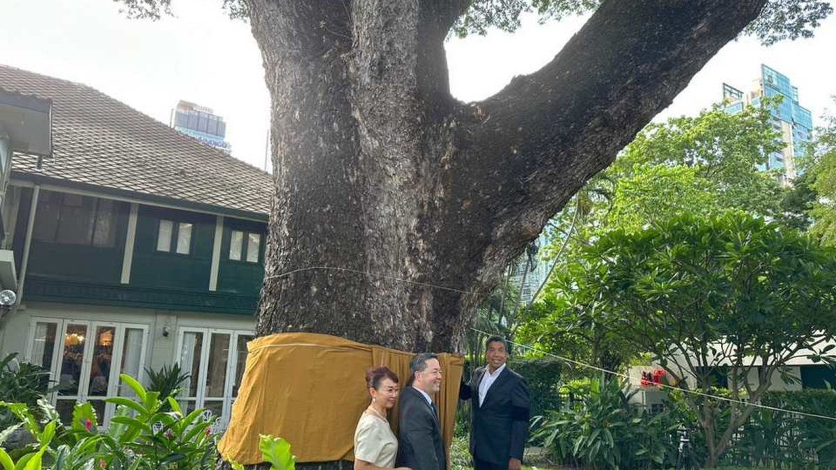First-Ever Tree Ordination at US Ambassador's Residence Marks 250 Years of American Independence