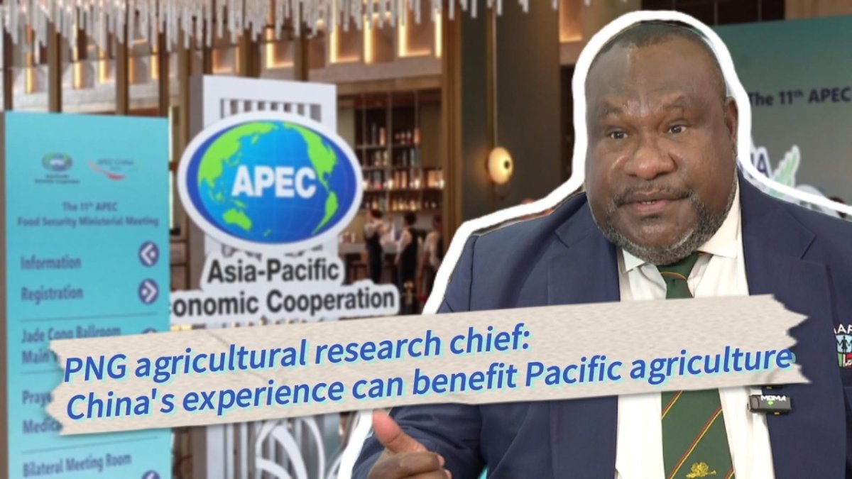 PNG Expert: China's Agricultural Experience Can Benefit Pacific Food Security