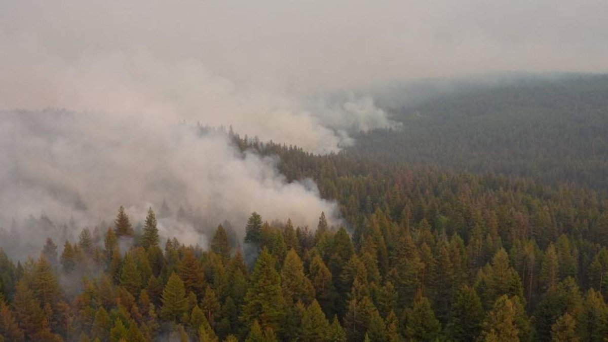 Bald Range wildfire flares overnight as crews brace for weekend winds near Summerland, Peachland