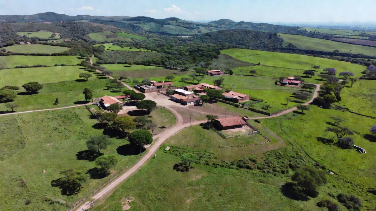 Morelos Narco Ranch to Become School and Health Center