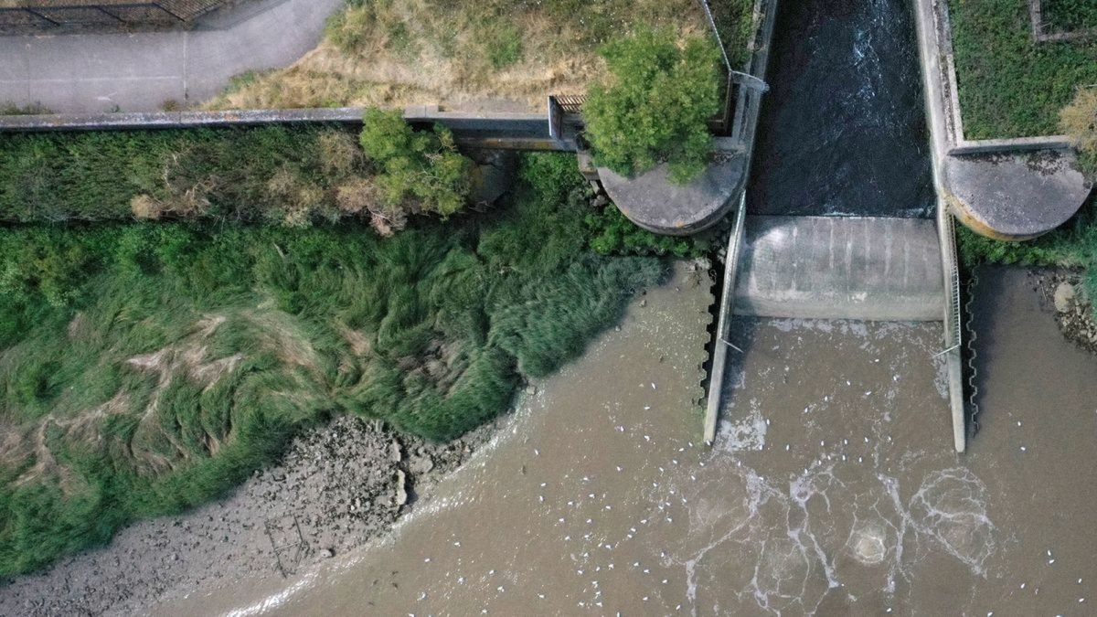 Sewage-related pollution in English waterways