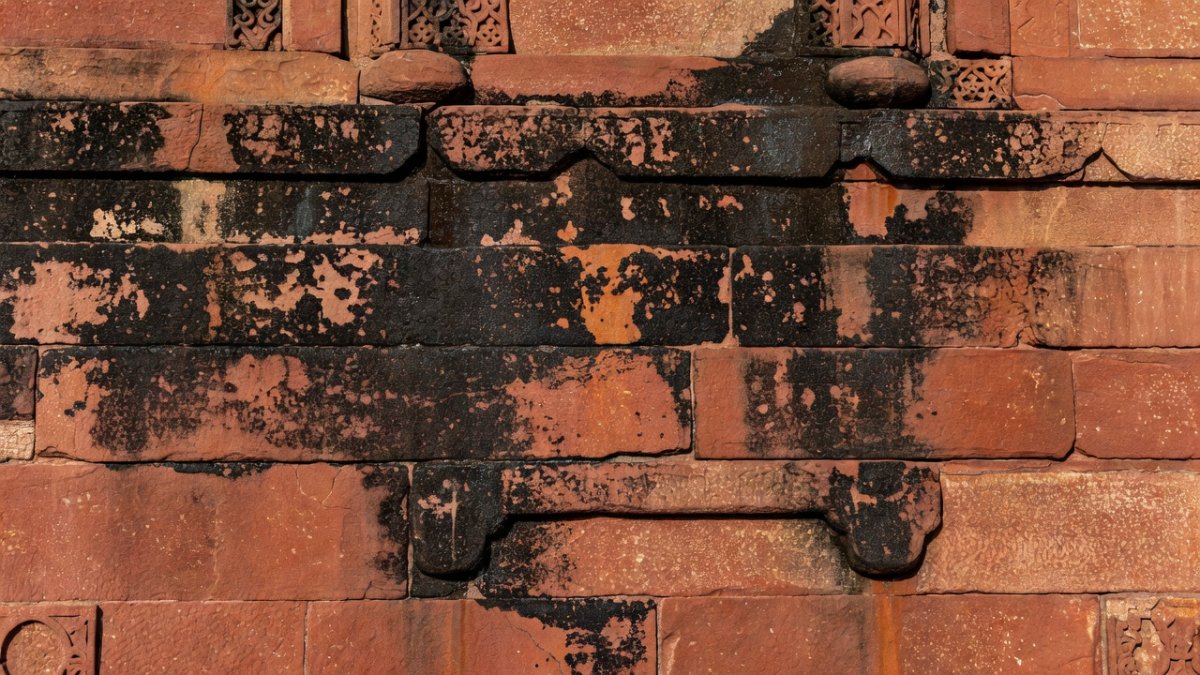 Black crust deposits on the red sandstone of Humayun's Tomb, Delhi