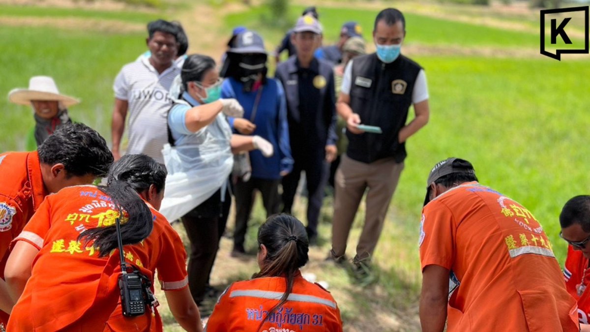 Tragedy in Isaan: Man, 52, Dies in Rice Field as Family Suspects Heatstroke