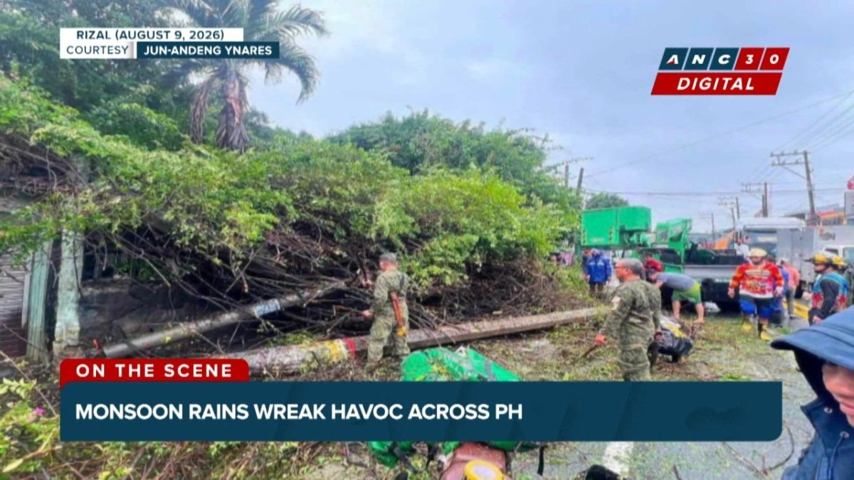 Delivery Rider Killed by Falling Tree, Utility Pole in Antipolo as Habagat Claims Lives Across Luzon