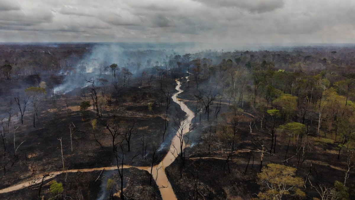Aerial view of burned Amazon rainforest with smoke rising along a river