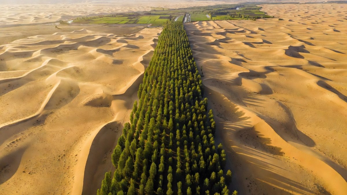 UNCCD Chief: China's Desert Reversal Is a Global Model
