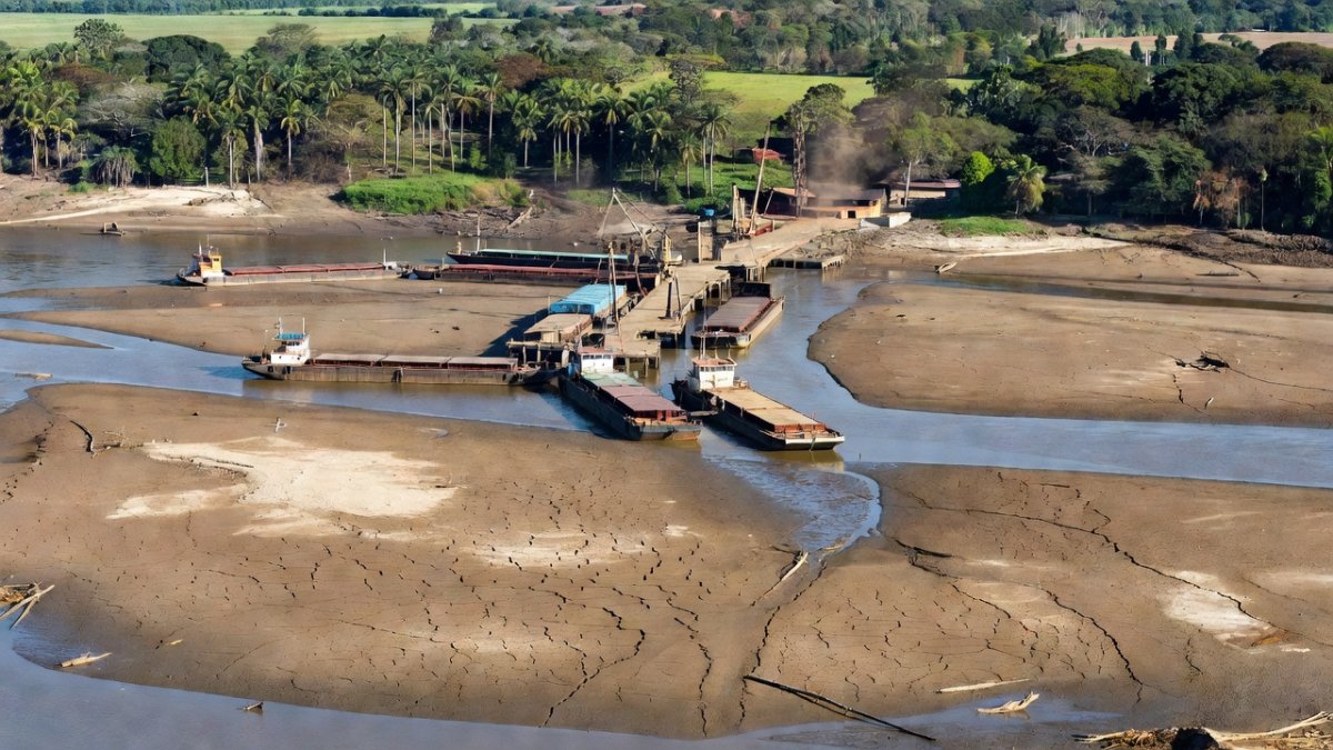 Cargo barges docked at low water level on a South American river during drought
