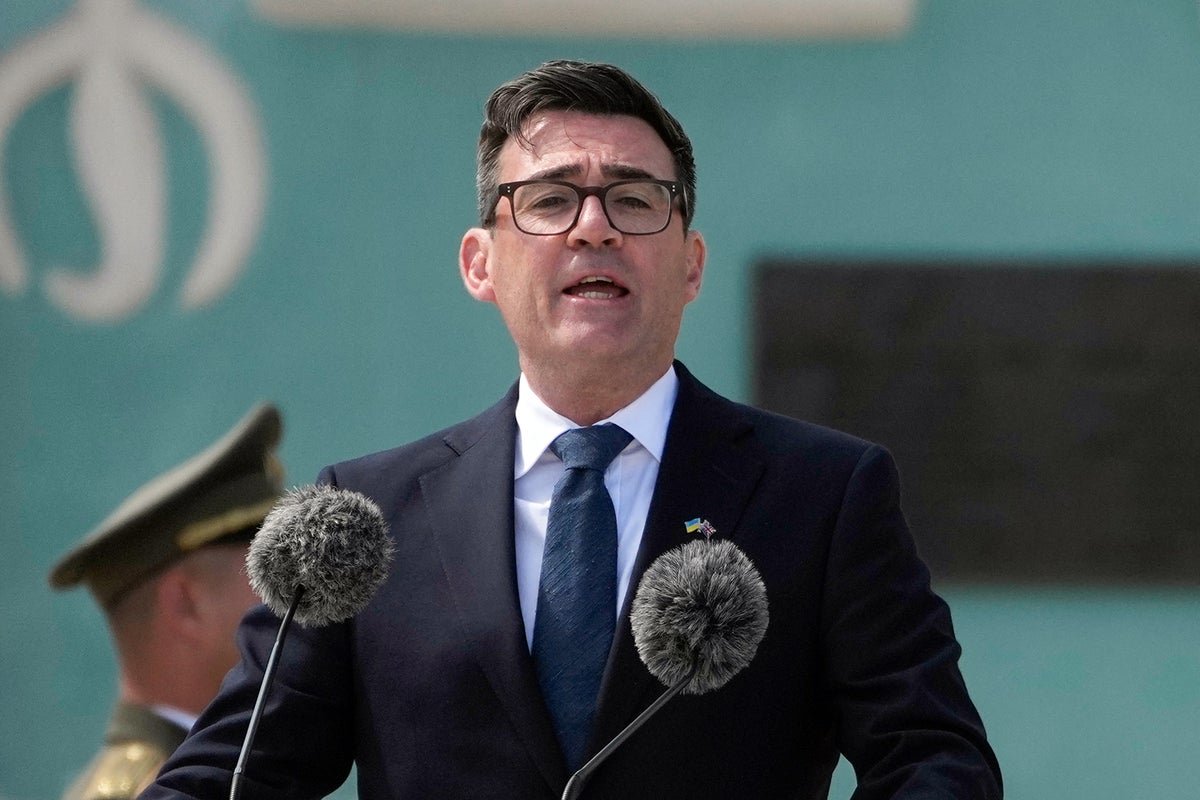 Andy Burnham commits to Starmer's Brexit red lines in blow to hopes of rejoining EU