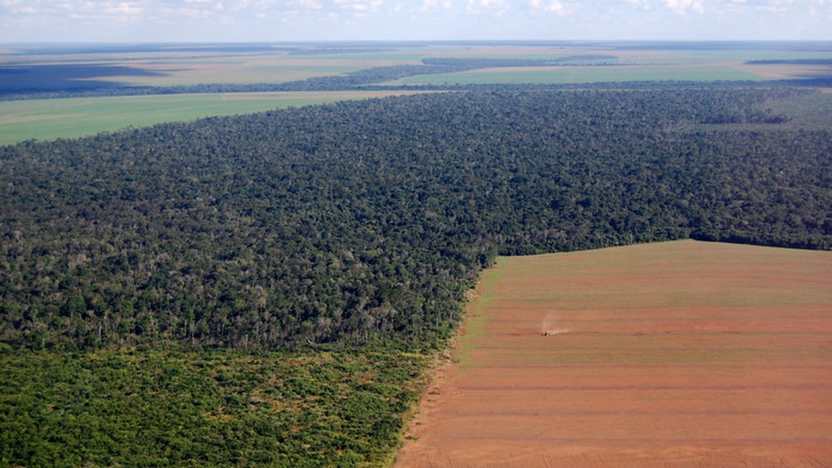 Brazil Court Ruling Threatens Soy Moratorium Revival
