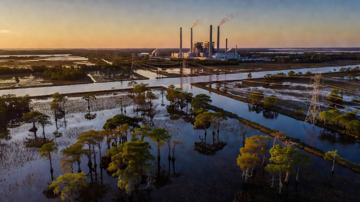 The AI Buildout Is 16 Miles From Mar-a-Lago — and the Everglades Could Pay the Price