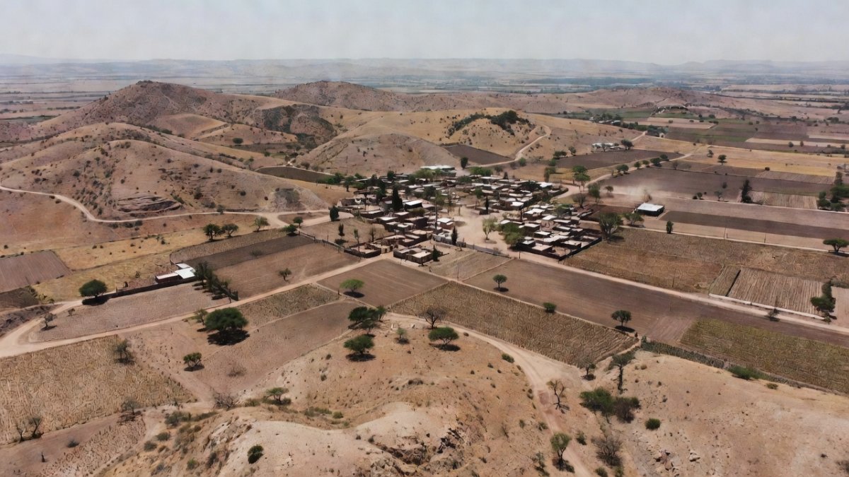 Navy and Federal Forces Seize Over 300 IEDs and 300 kg of Explosives in Rural Sinaloa