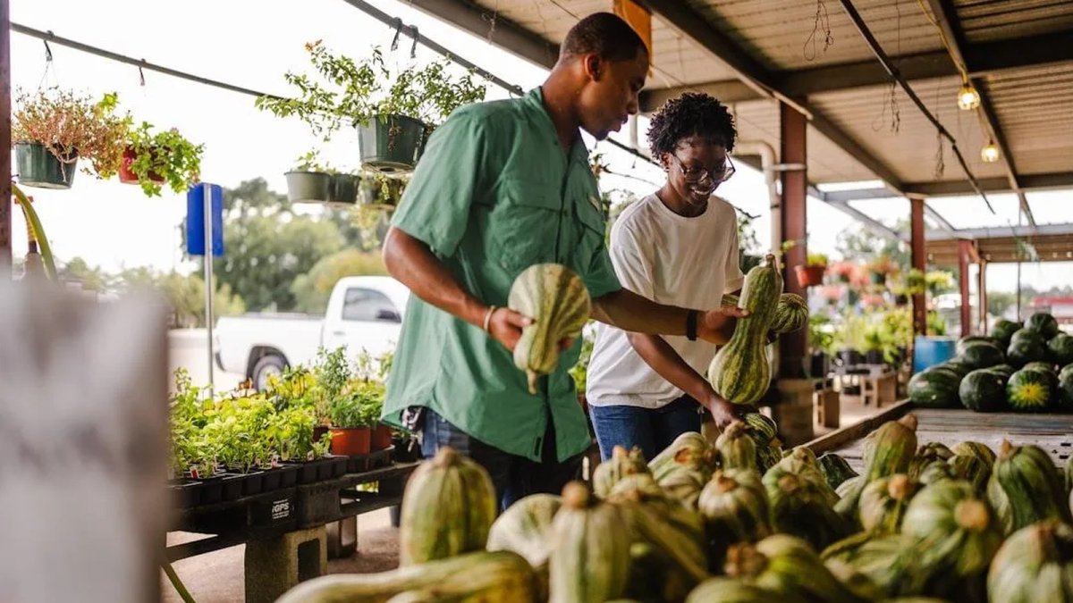 The 54th Annual VI Agrifest agriculture and food fair on St Croix