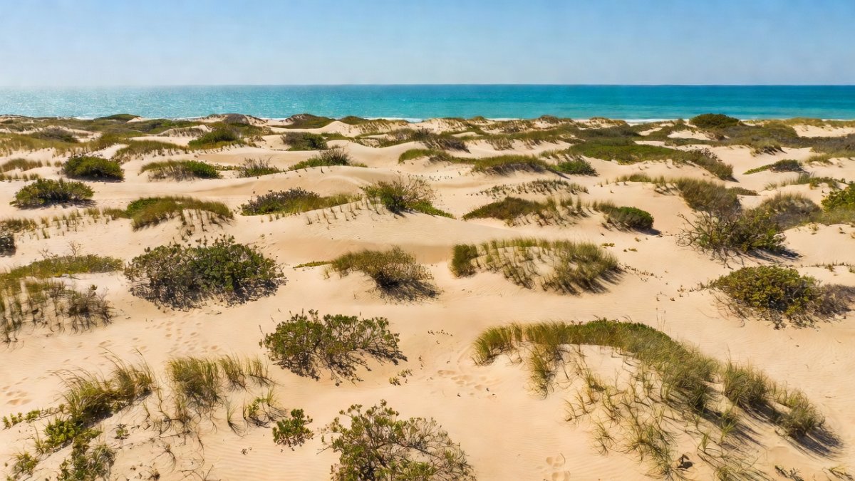 Las Dunas Yucatán Project Halted After Activists, Profepa