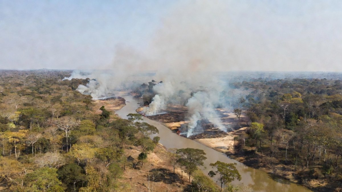 Amazonas Fire Hotspots Surge 407% as Drought Grips the Rainforest