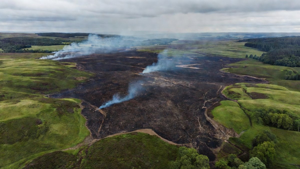 Burned moorland in Belgium's High Fens nature reserve