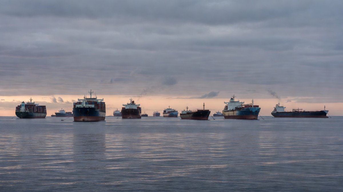 Cargo vessels and oil tankers on the Black Sea, where Ukraine says it struck shadow fleet vessels