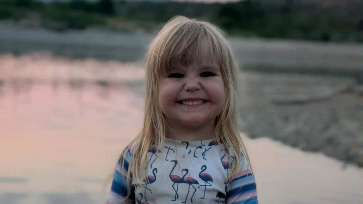Black Bear Attacks 3-Year-Old Girl in Maple Ridge; Search Ongoing