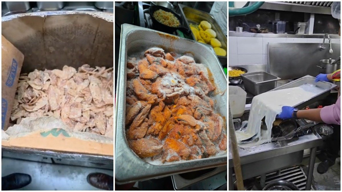 Rotten Meat, Expired Milk: Bengaluru Food Raids Shut UB City Pub, 132 kg Seized