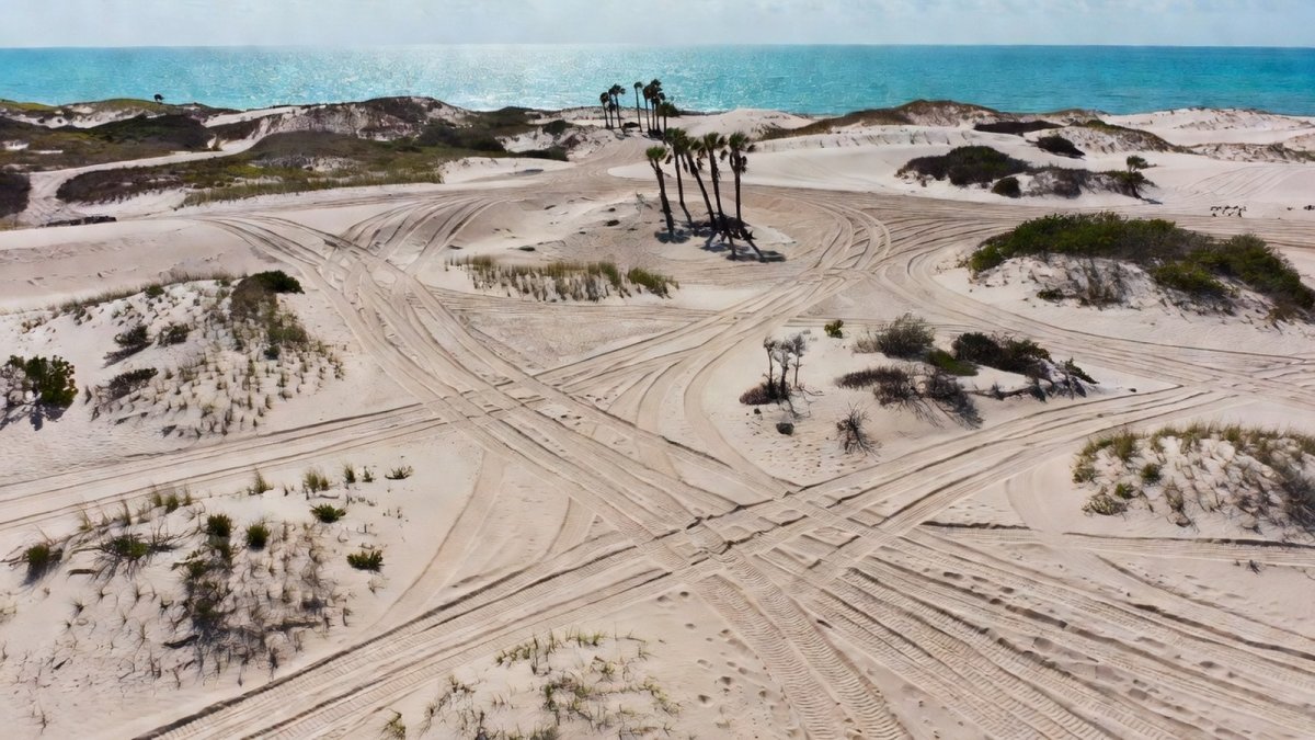 Federal Judge Halts Las Dunas Construction in Chuburna Puerto, Marking Third Major Coastal Reversal Under Sheinbaum