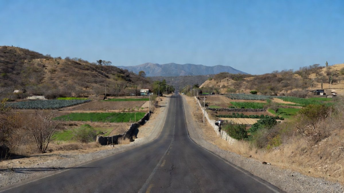 Rural landscape near El Rosario, Sinaloa, where naval forces located improvised explosive devices