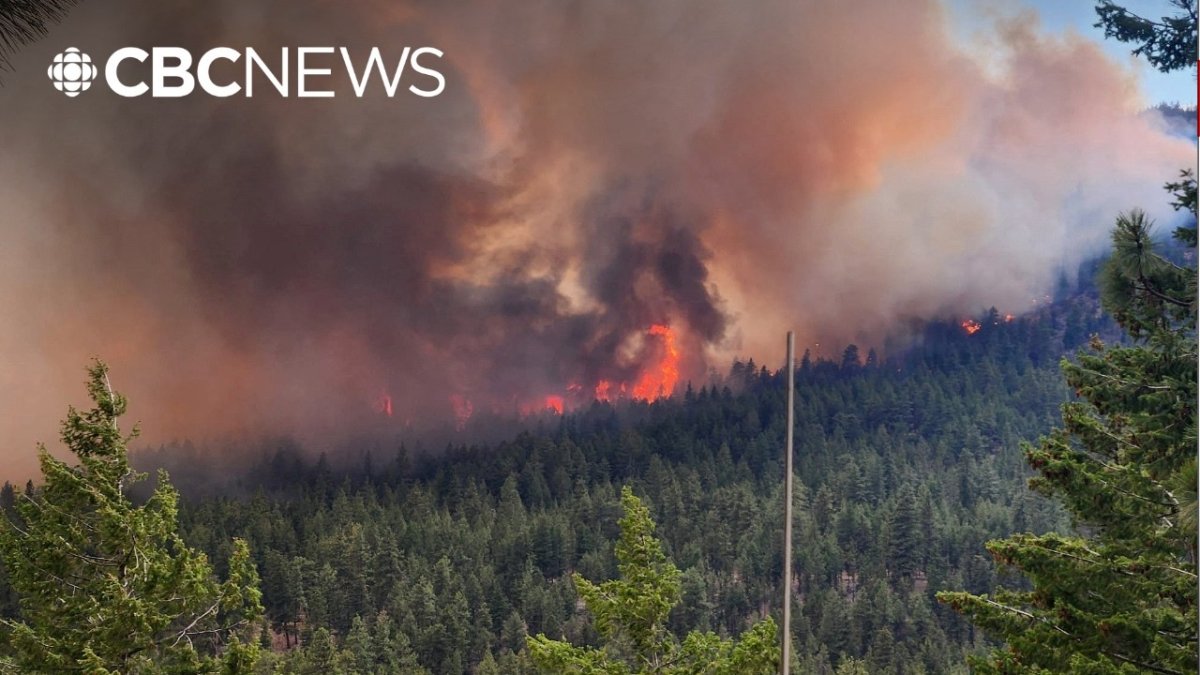 B.C. Wildfires Force 20,000 From Homes as Blazes Rage