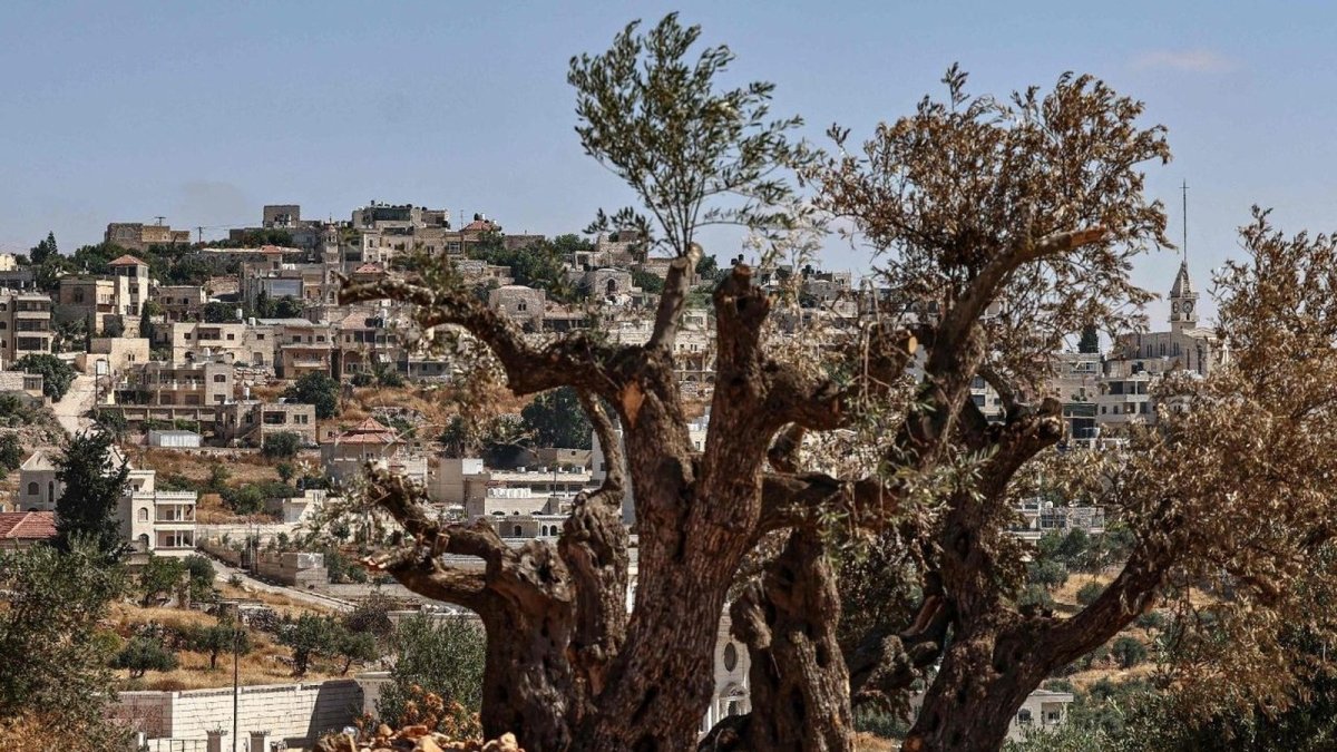 Taybeh, the last fully Christian village in the occupied West Bank