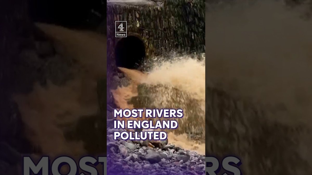 Channel 4 News report on English river pollution