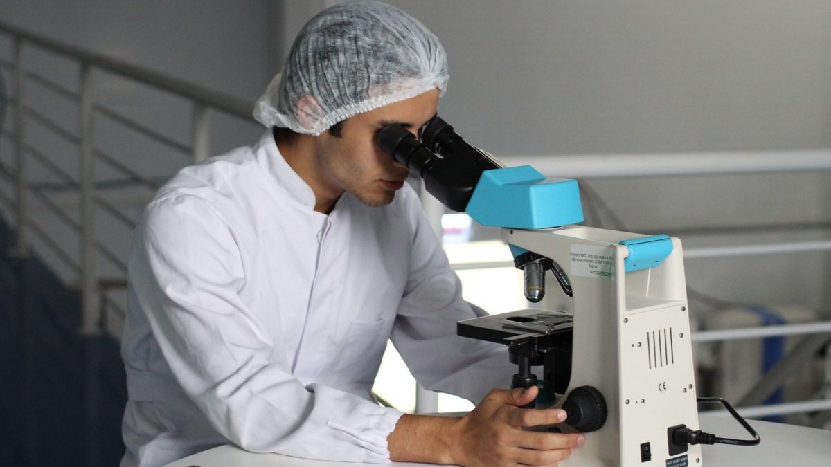 A researcher examines cell cultures under a microscope in a biomedical laboratory