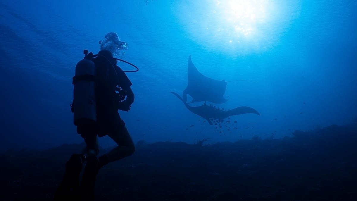 World's Oceans Hit Hottest Temperature on Record in August as El Niño Takes Hold