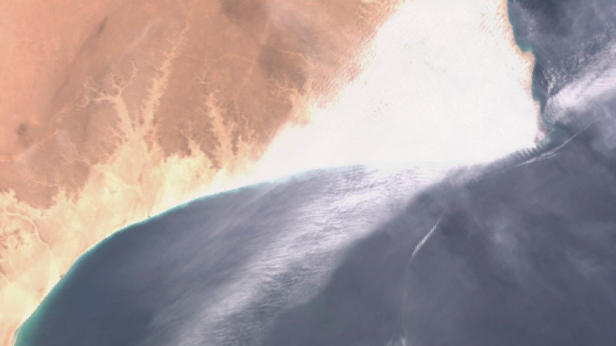 Oman Oil Spill: Shadow Fleet Disaster Threatens Marine Life