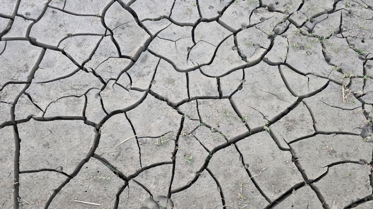 Cracked dry earth from severe drought conditions linked to El Niño