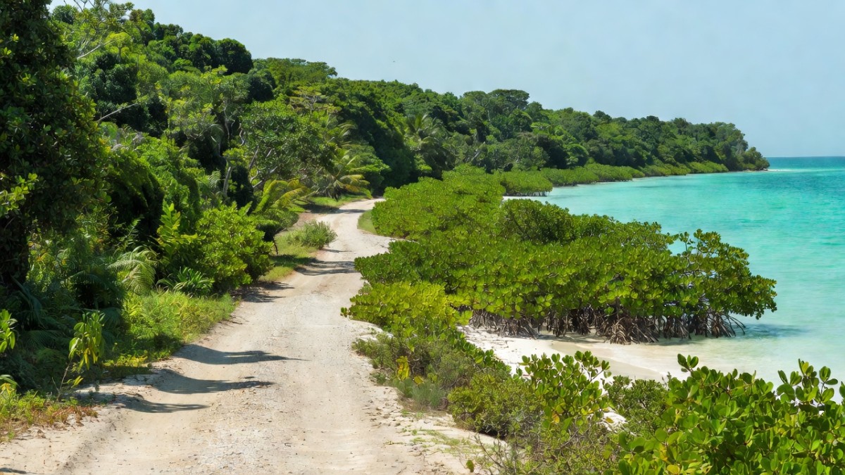 Coastal mangroves and jungle near Mahahual, Quintana Roo, along the Mesoamerican Reef coastline