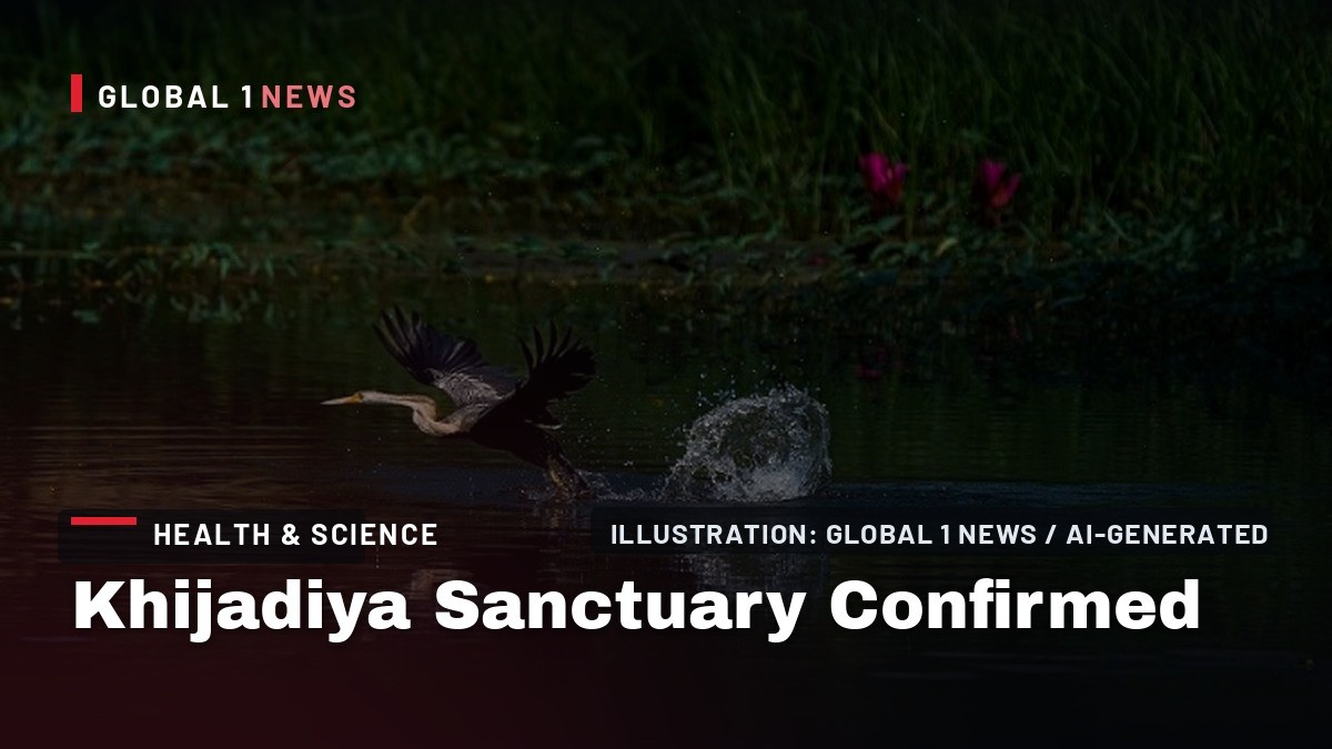 Khijadiya Sanctuary Confirmed as Key Black-Necked Stork Breeding Site