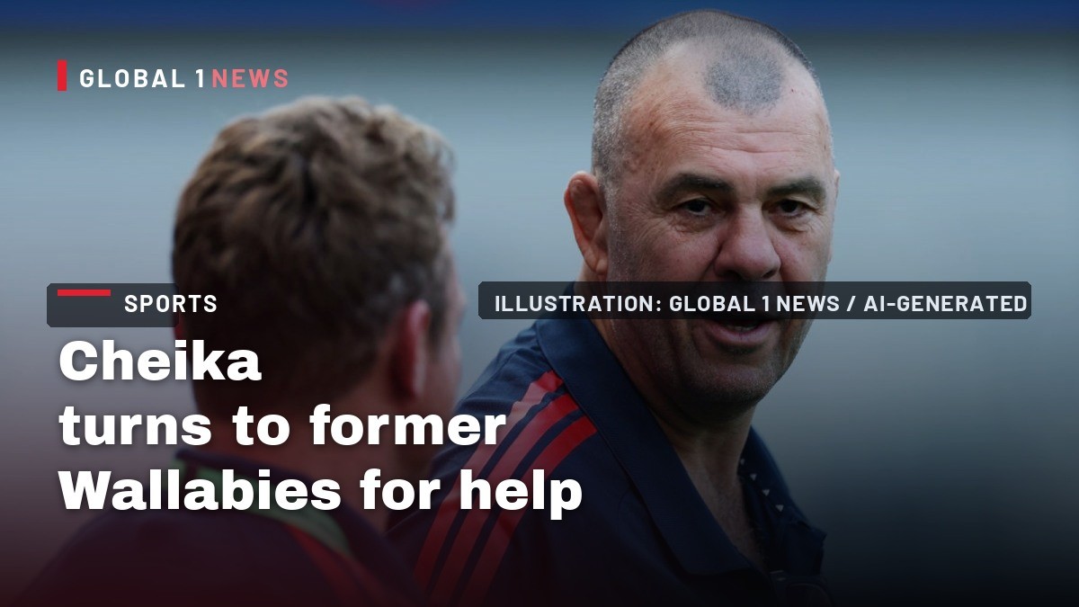 Cheika turns to former Wallabies for help