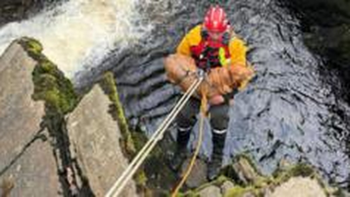 Dog rescued from cliff ledge at landmark waterfall