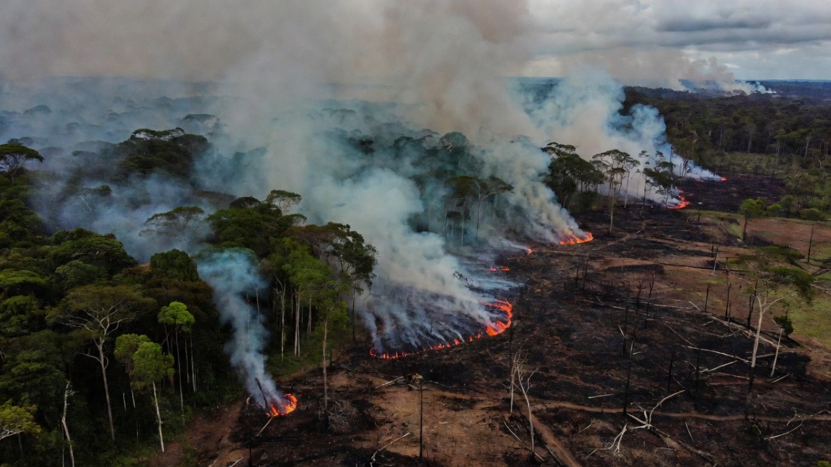 Smoke rising from fire fronts along a deforested frontier in the Brazilian Amazon, where drought and land clearing intensify the climate crisis