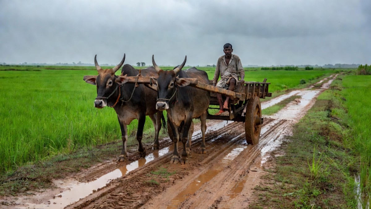 Bullock Cart Delivery: Rural India's Ambulance Gap
