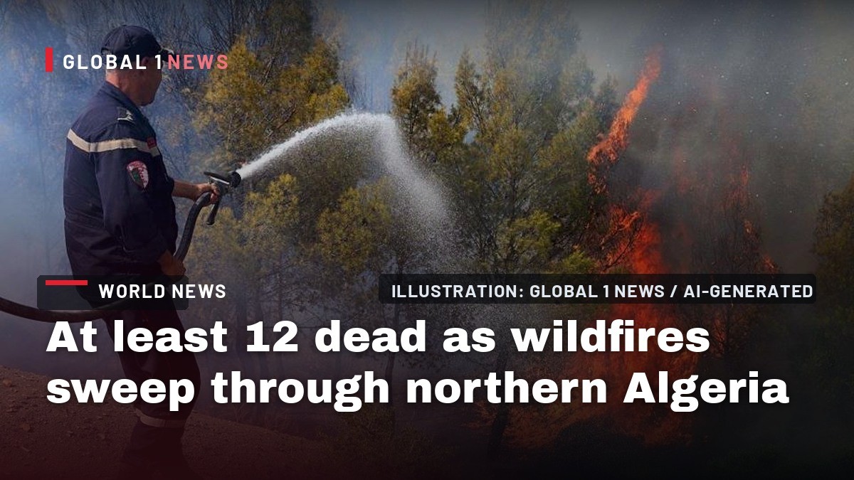 At least 12 dead as wildfires sweep through northern Algeria
